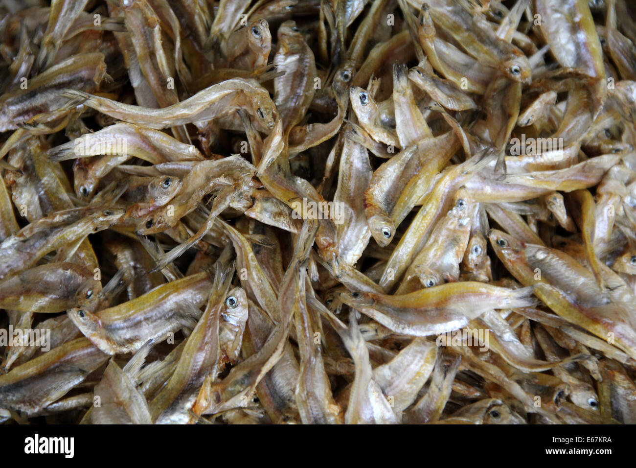 Pesce sul mercato tailandese Foto Stock