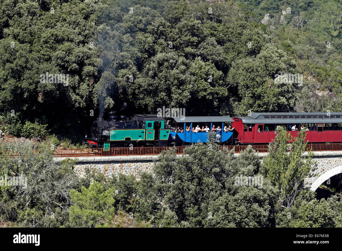 Treno a vapore delle Cévennes, linea Anduze a St Jean du Gard, Languedoc Roussillon, Francia Foto Stock