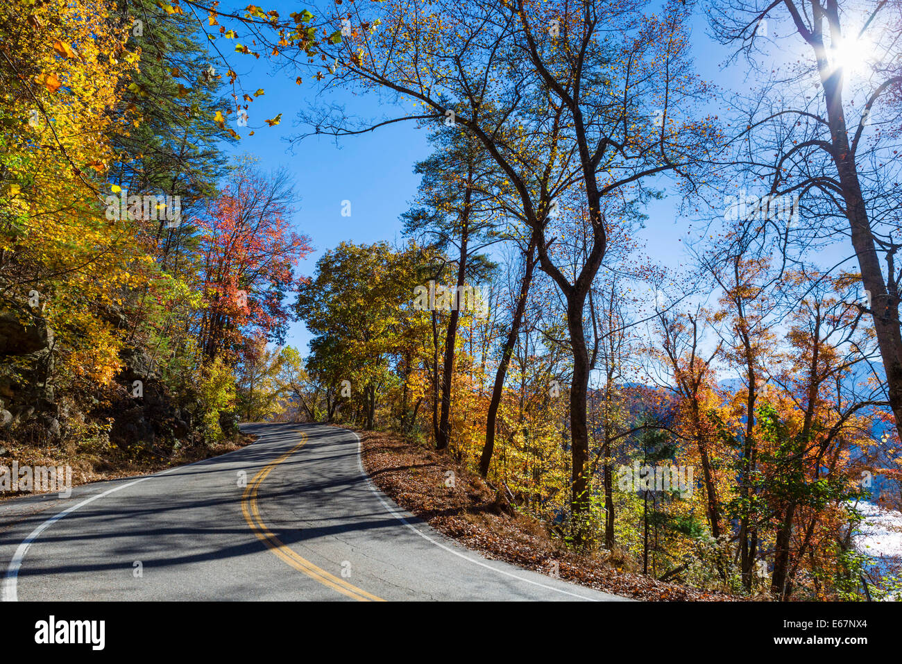 Coda del drago road, US 129, vicino si occupa spazio appena a sud del Parco Nazionale di Great Smoky Mountains, Tennessee, Stati Uniti d'America Foto Stock