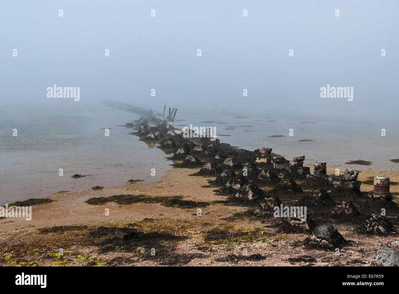 I resti della guerra mondiale 2 le difese del Mare presso il St Peters Pool, Deerness, est continentale, isole Orcadi Scozia Scotland Foto Stock