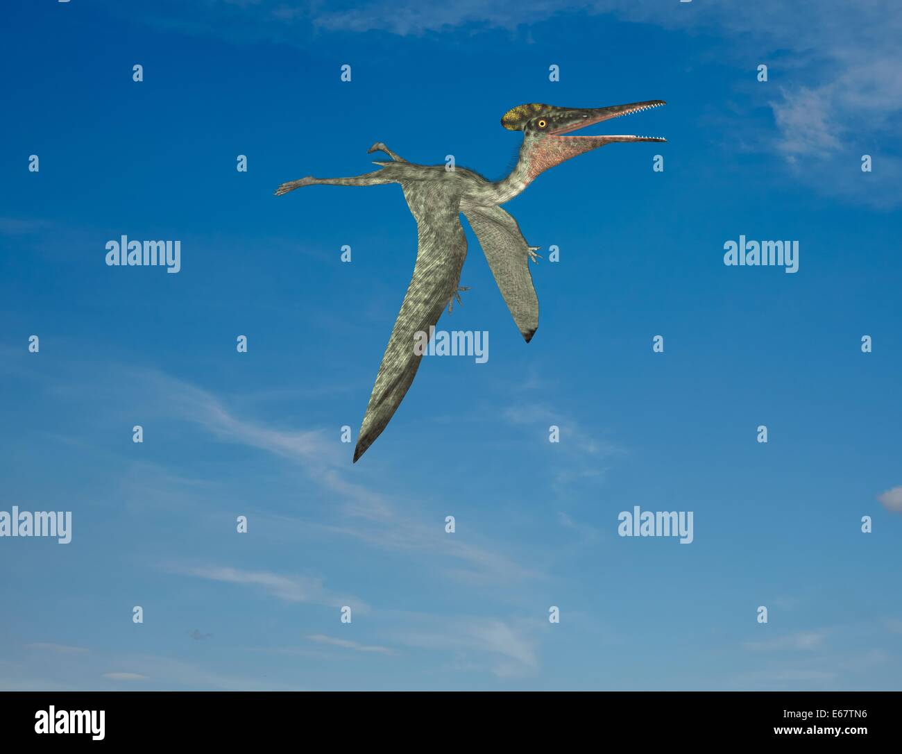 Dinosaurier Pterodactylus / Pterodactylus dinosauro Foto Stock