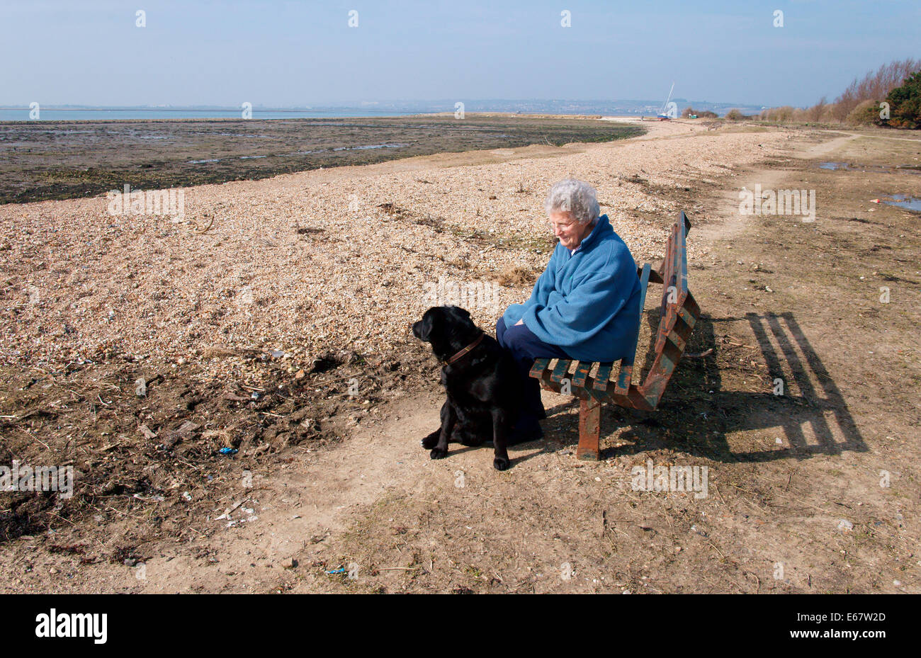 Senior dog walker seduta su una panchina in riva al mare Foto Stock