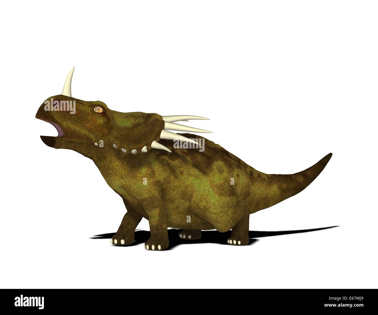 Dinosaurier Styracosaurus / Styracosaurus dinosauro Foto Stock