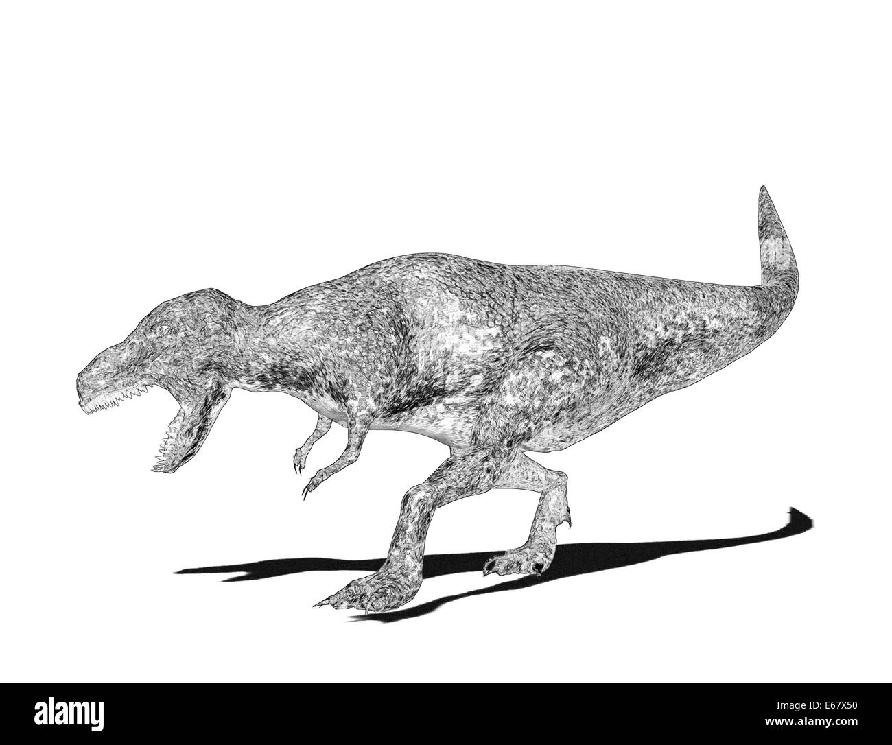 Dinosaurier Tyrannosaurus rex / dinosaur Tyrannosaurus rex Foto Stock