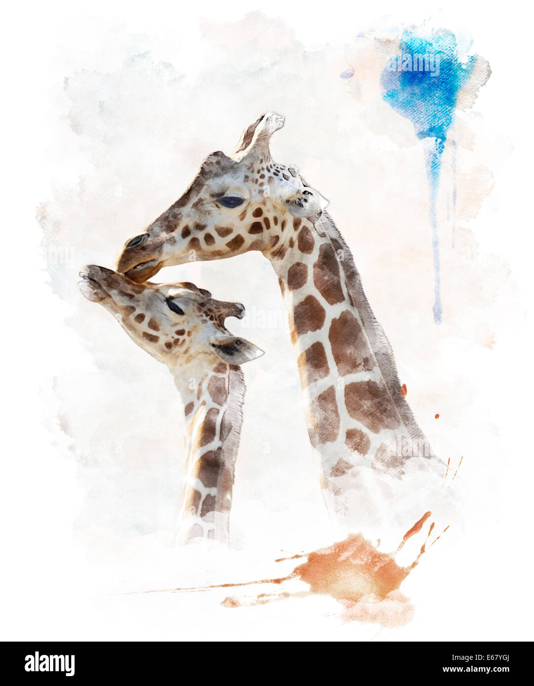 Acquerello pittura digitale della madre e del bambino le giraffe Foto Stock