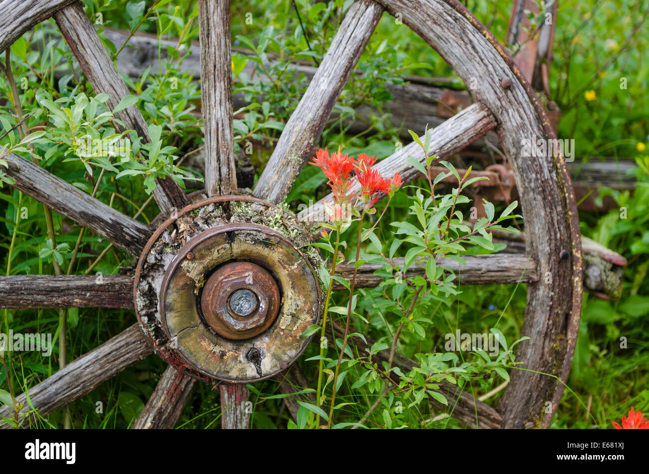 Legno vecchio pioneer ruota del carro nel centro storico di città della corsa all'oro Barkerville, interior British Columbia, BC, Canada. Foto Stock