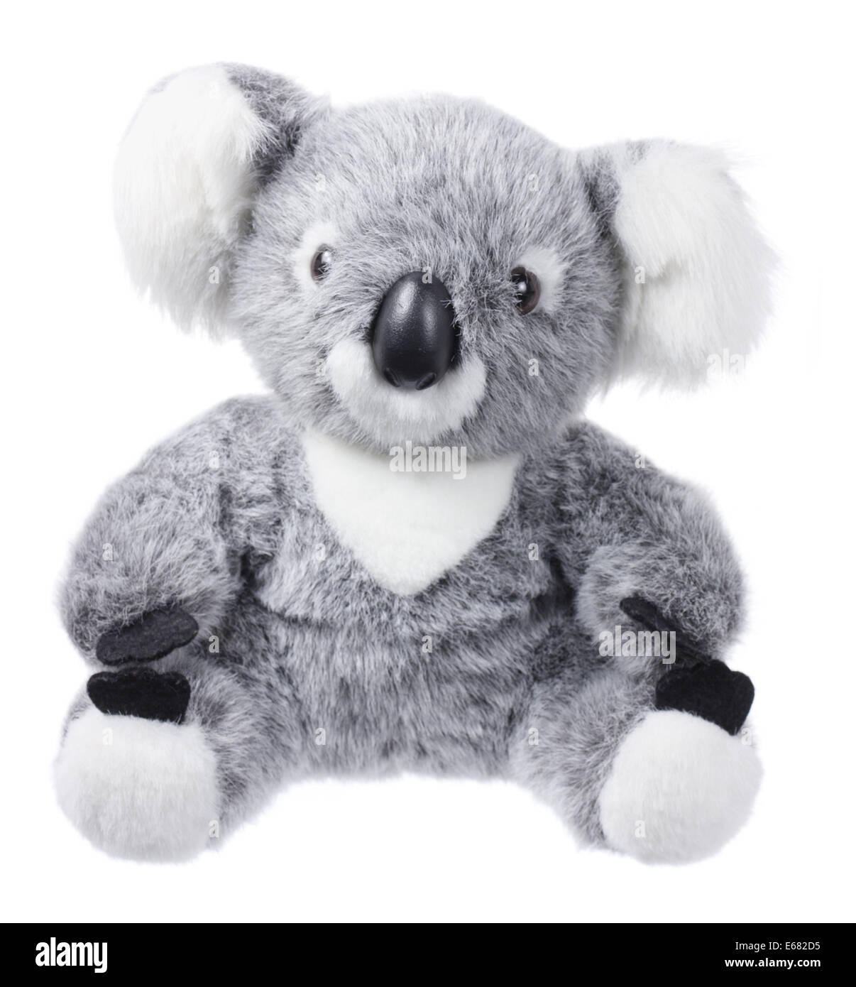 Koala di peluche Foto Stock