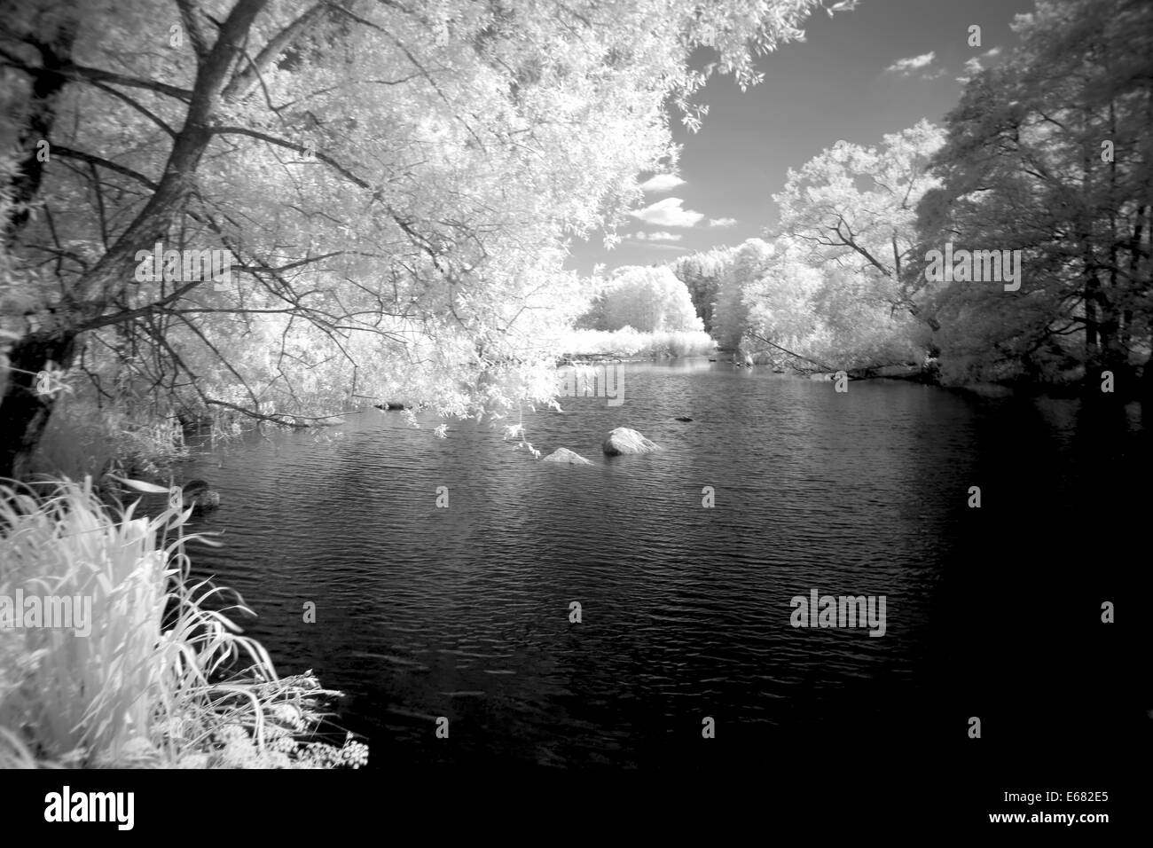 Acquoso paesaggio Foto Stock