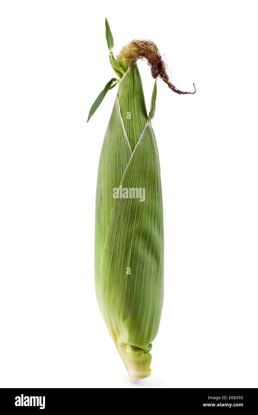 Fresco di mais organico Foto Stock