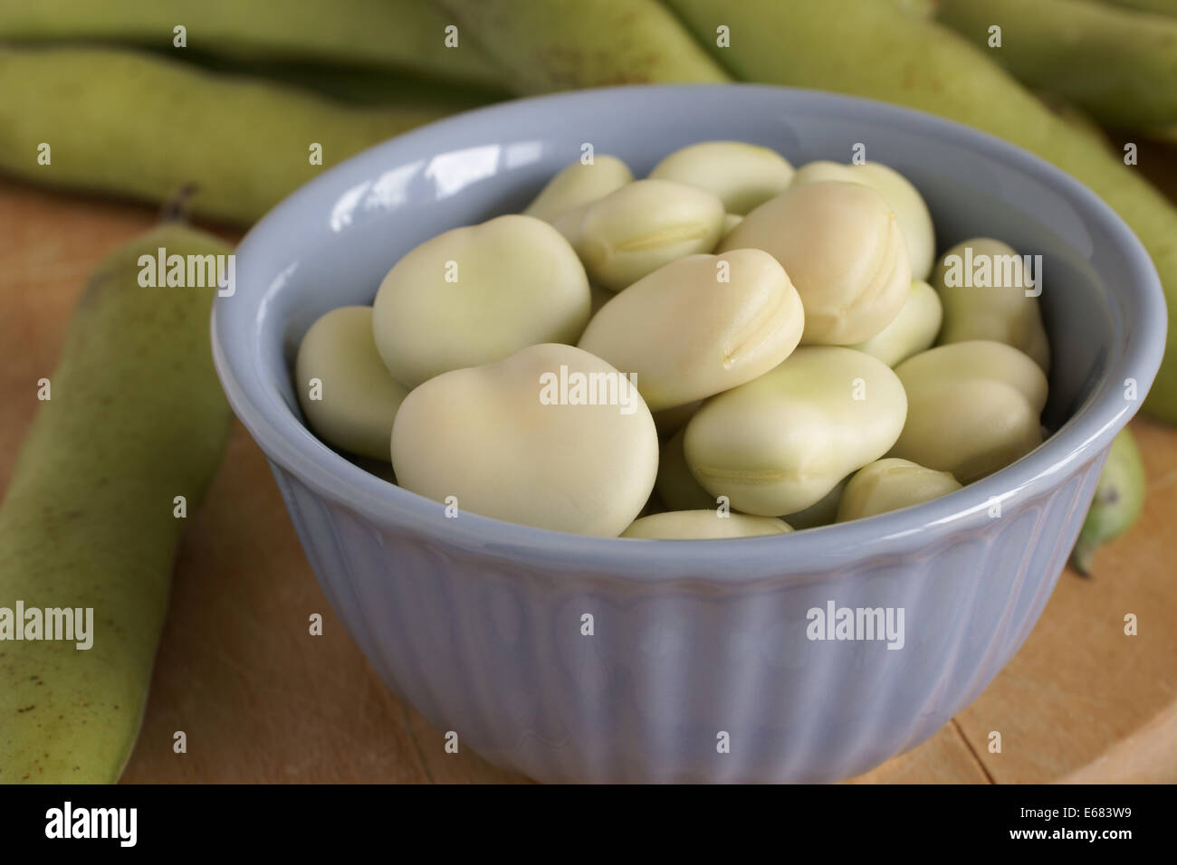 Fave o fave un legume popolare nel Nord Africana e Asiatica Foto Stock