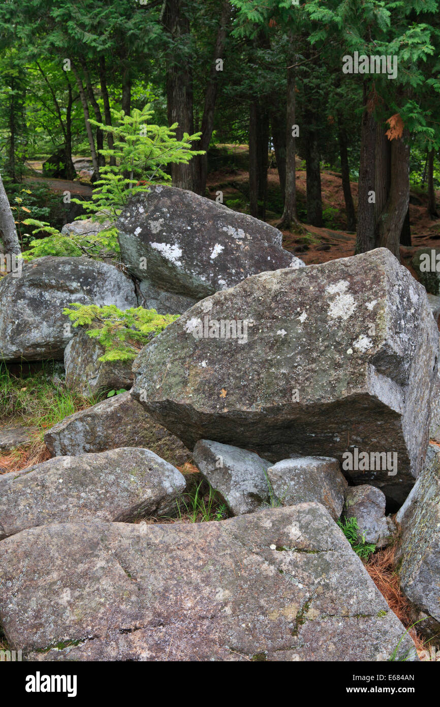 Rocce di granito di abeti al latticello cade nella regione di Adirondacks di New York. Foto Stock