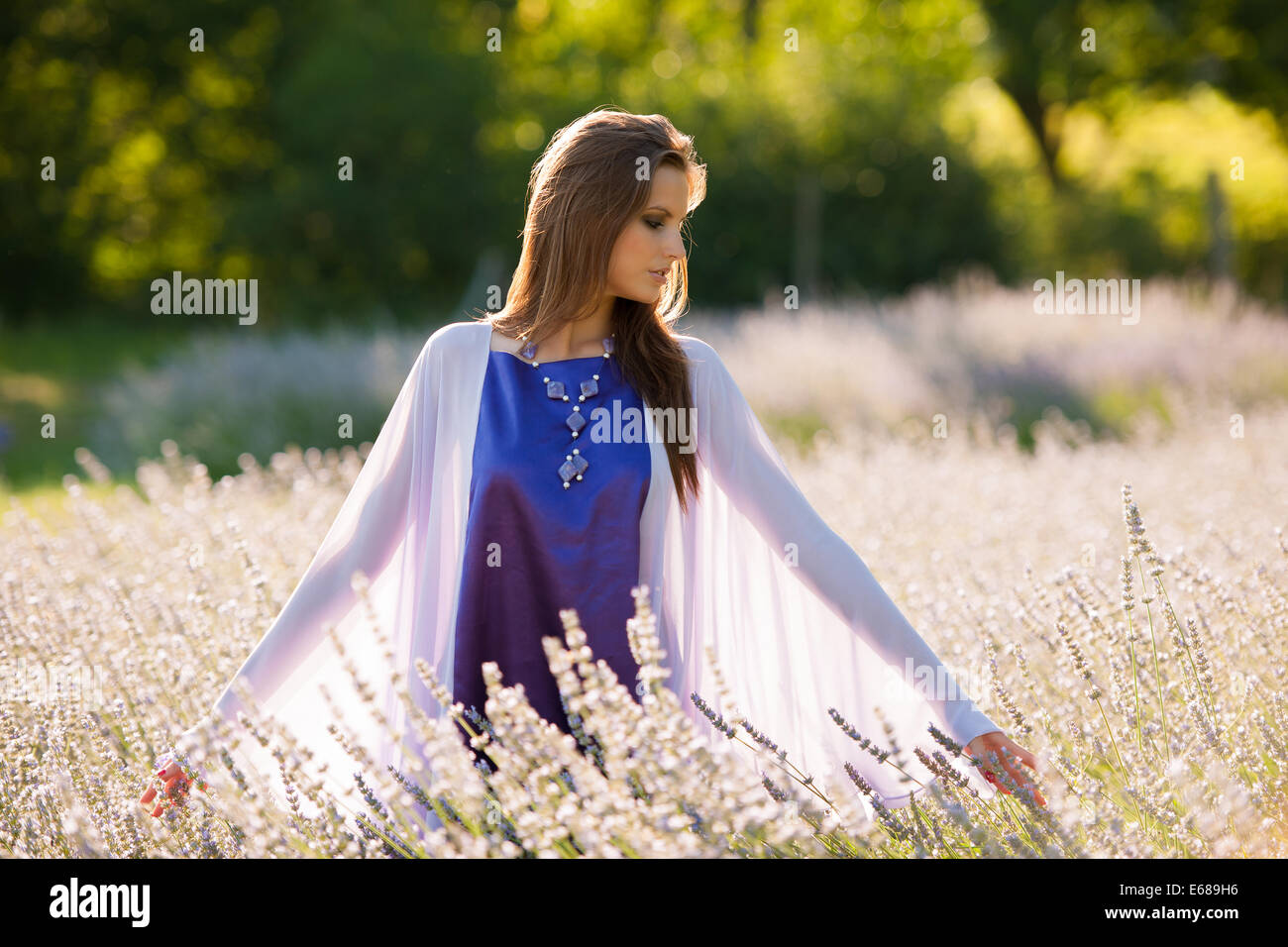 Bella giovane donna sul campo di lavanda - lavanda ragazza a inizio estate Foto Stock