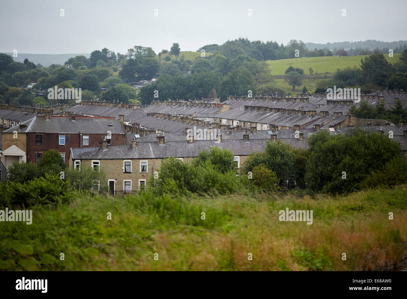 Nick e Gina Mead eseguire Lady Teal, un hotel boutique di lusso galleggiante, Burnley Lancashire, il Leeds Liverpool canal. Foto Stock