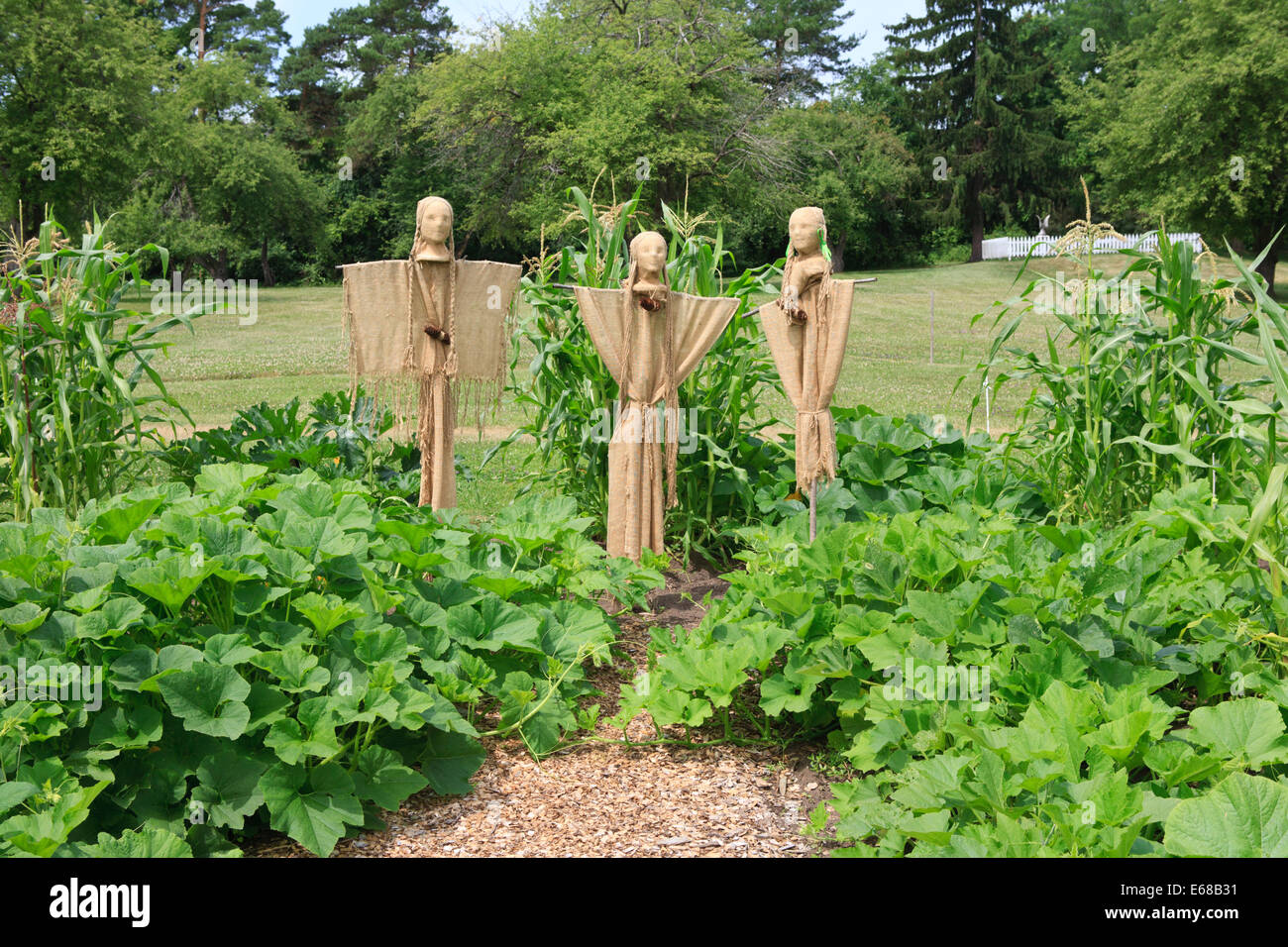 Tre scarecrows indiano in un giardino che rappresenta il mais, squash e fagioli Foto Stock