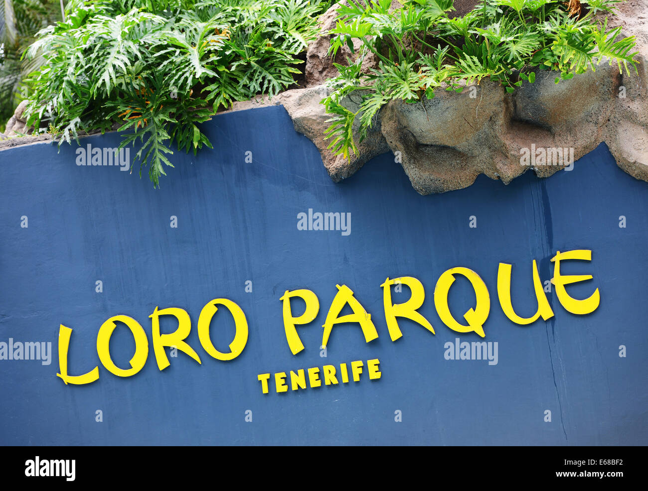 Loro Parque, Tenerife, Isole Canarie, Loro Parque Wildlife Park o lo zoo, Tenerife, Spagna Foto Stock