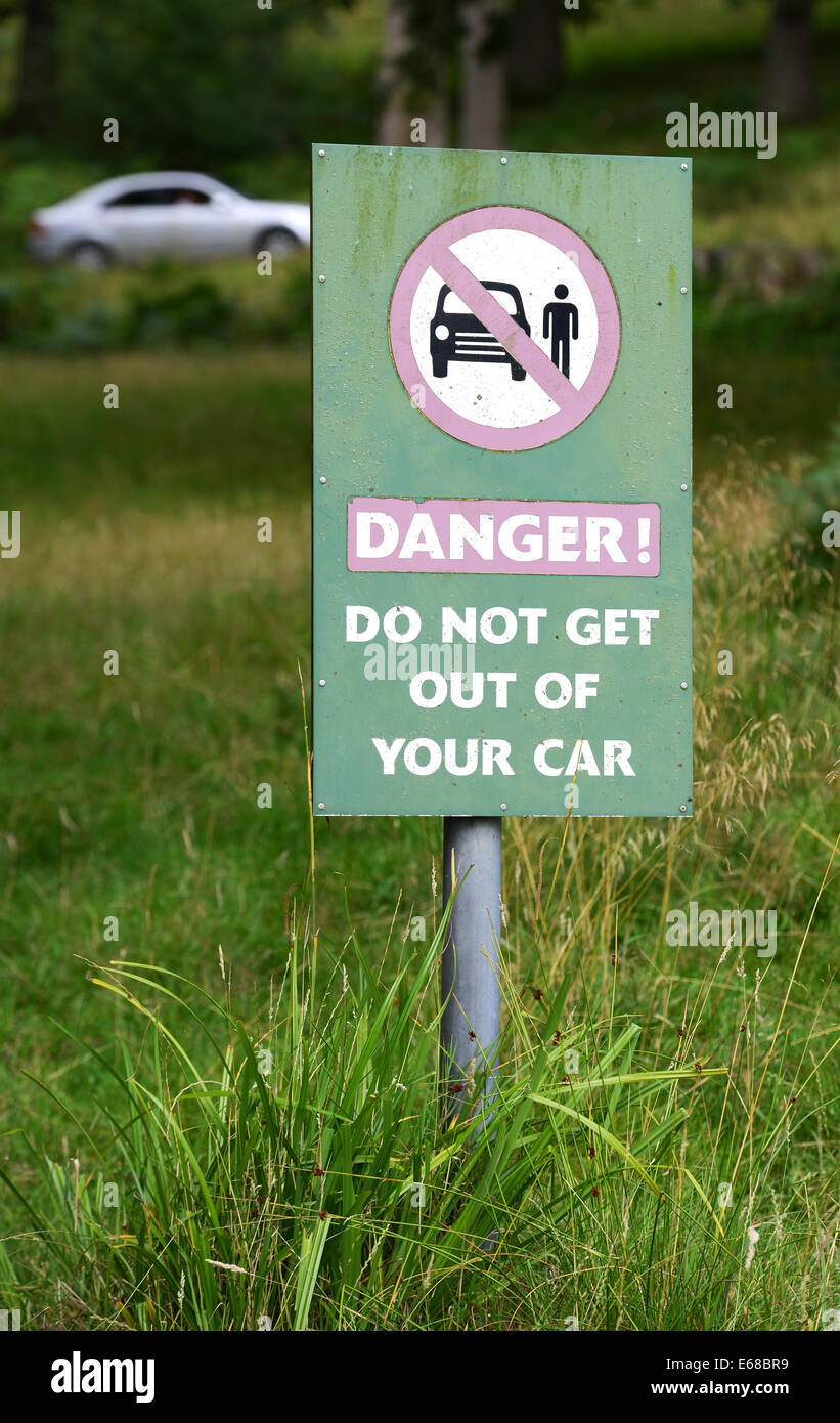Longleat Safari Park, Wiltshire, Inghilterra. Segnale di avvertimento, Pericolo! Don non arrivare al di fuori della vostra auto a Longleat Safari Park Foto Stock
