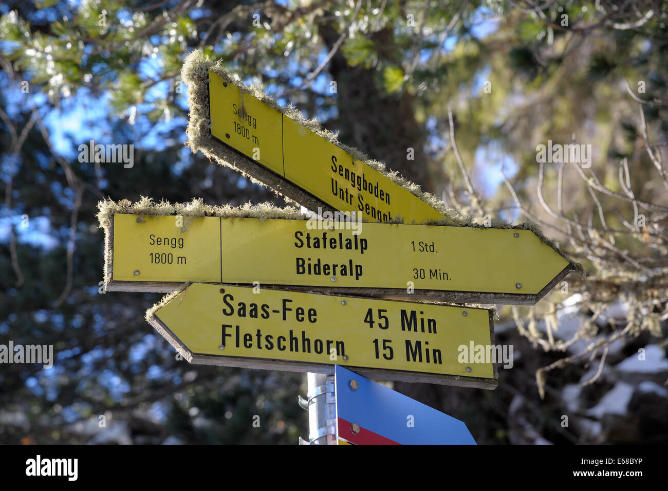 Segni di colore giallo con le direzioni e il tempo per raggiungere a piedi la destinazione su percorsi di trekking nelle Alpi Svizzere Foto Stock