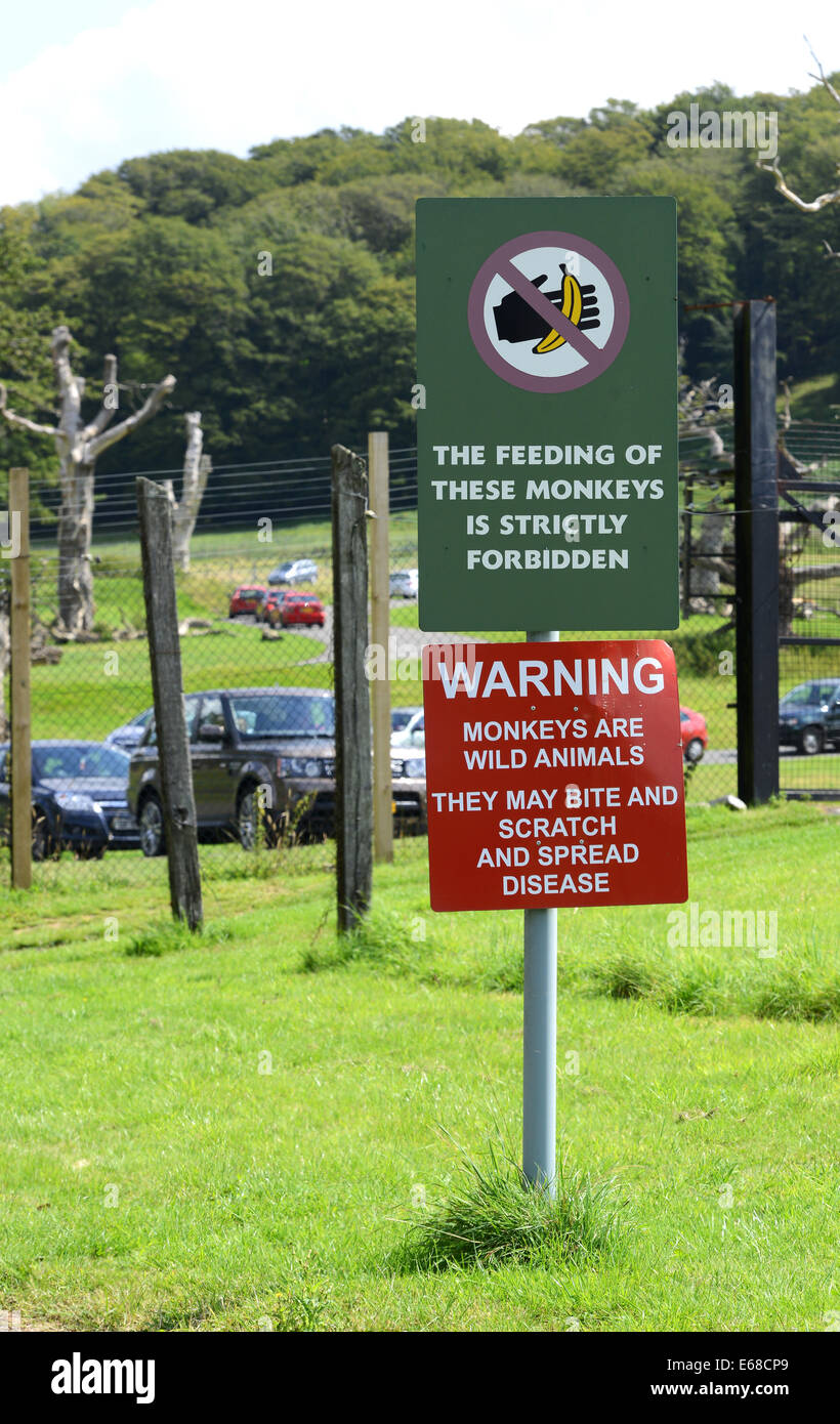 Longleat Safari Park, segno di avvertimento al monkey drive thru enclosure, Wiltshire, Inghilterra Foto Stock