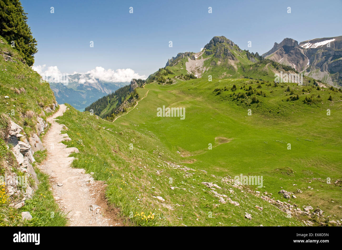 In prossimità della famosa Alpengarten Schynige Platte nell Oberland Bernese, Svizzera Foto Stock