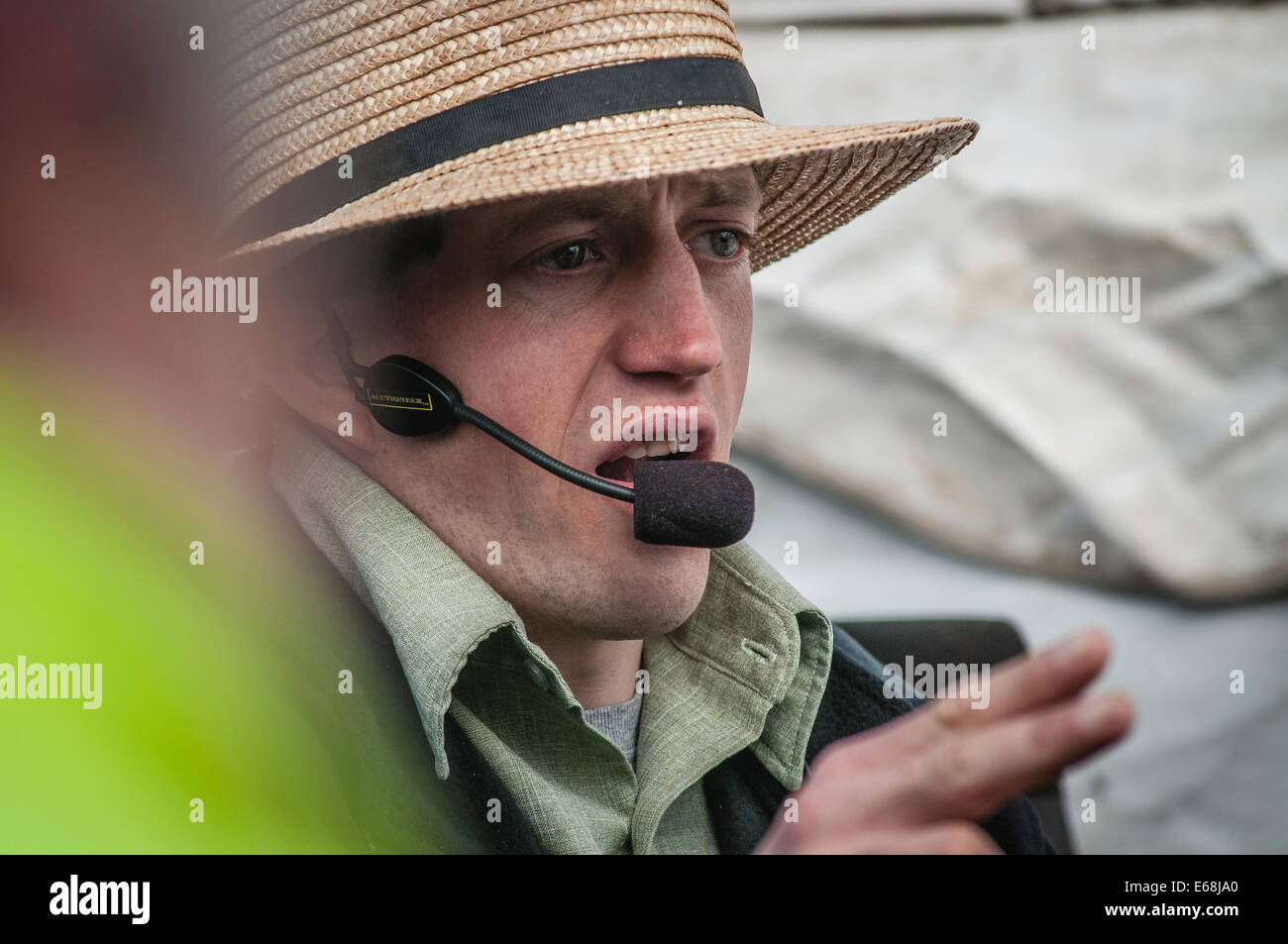 Amish vendite di fango, molla aste mobili animali farm equipment fornisce gli oggetti artigianali di strumenti volontari di antiquariato società antincendio Foto Stock