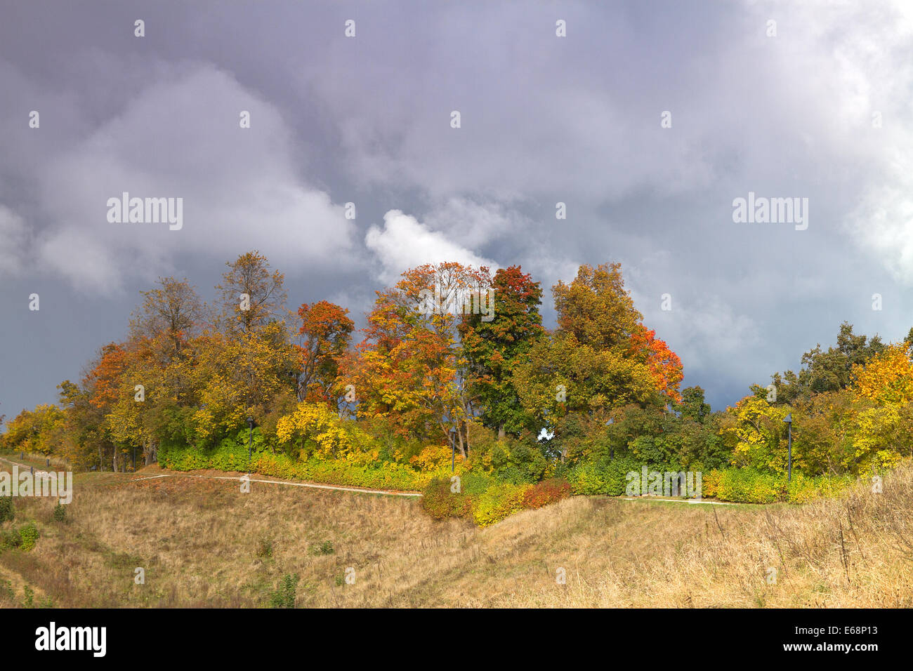 In autunno il paesaggio della foresta estone Foto Stock