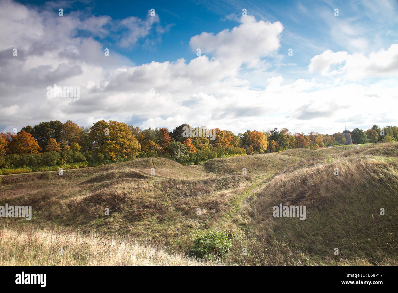 In autunno il paesaggio della foresta estone Foto Stock