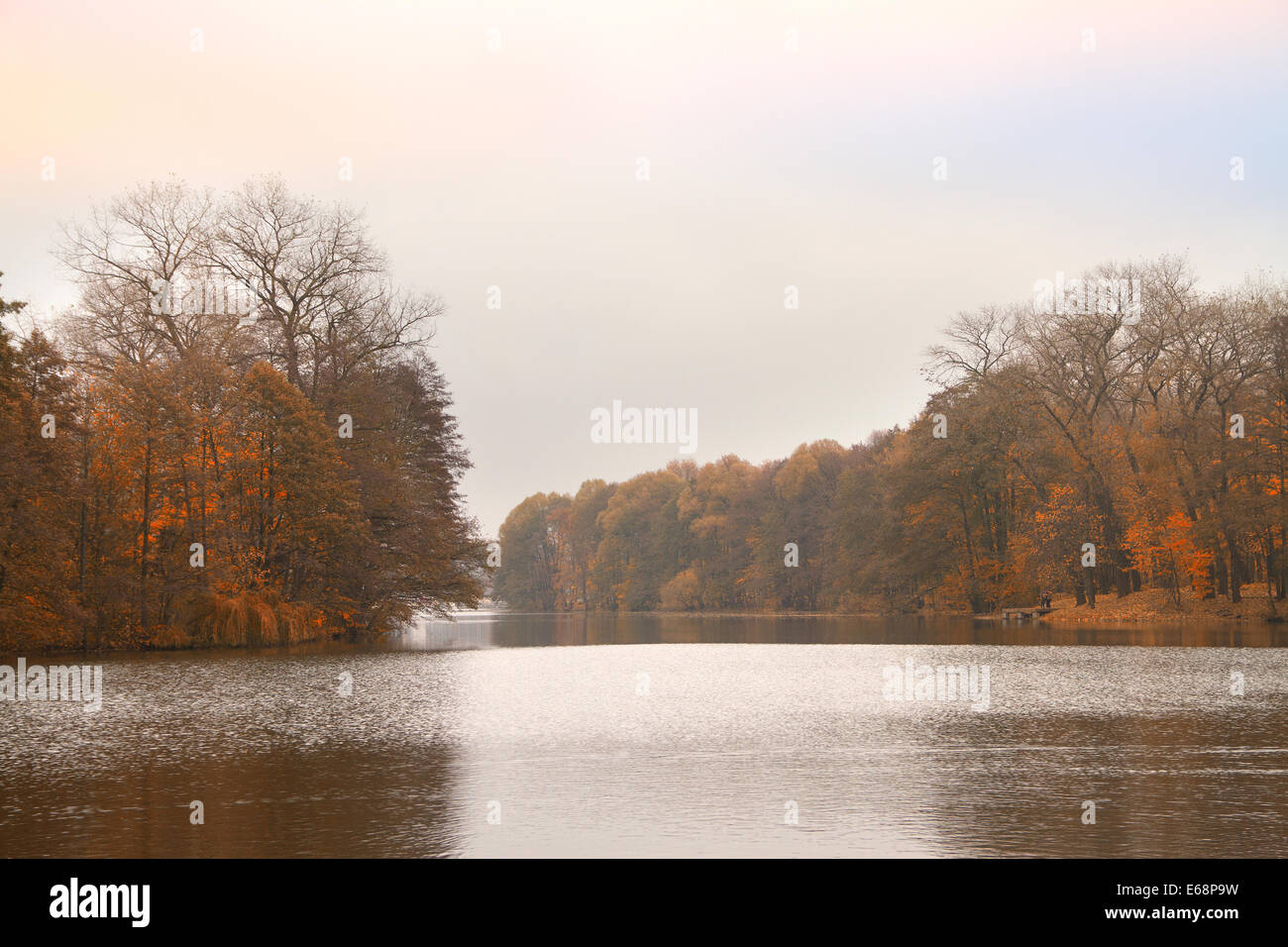 Il tardo autunno presso il fiume Foto Stock