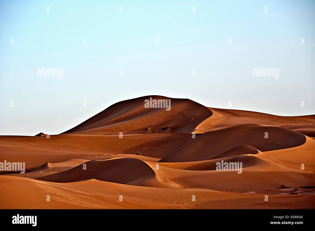 Dune di sabbia del deserto del Sahara; Marocco Foto Stock