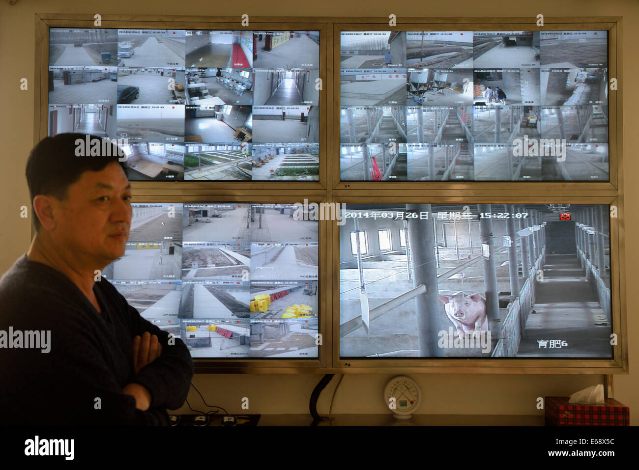 Jianguo Liu, boss di jingyu allevamento di suini, si trova di fronte a un muro di CCTV all'interno del pigpen in Yutian, Tangshan, Hebei, Cina.2014 Foto Stock