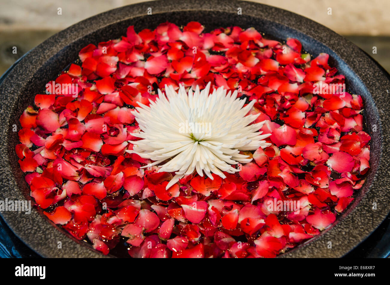 Display floreali nella lobby di Dusit Thani Hotel,Dubai Emirati Arabi Uniti EMIRATI ARABI UNITI. Foto Stock
