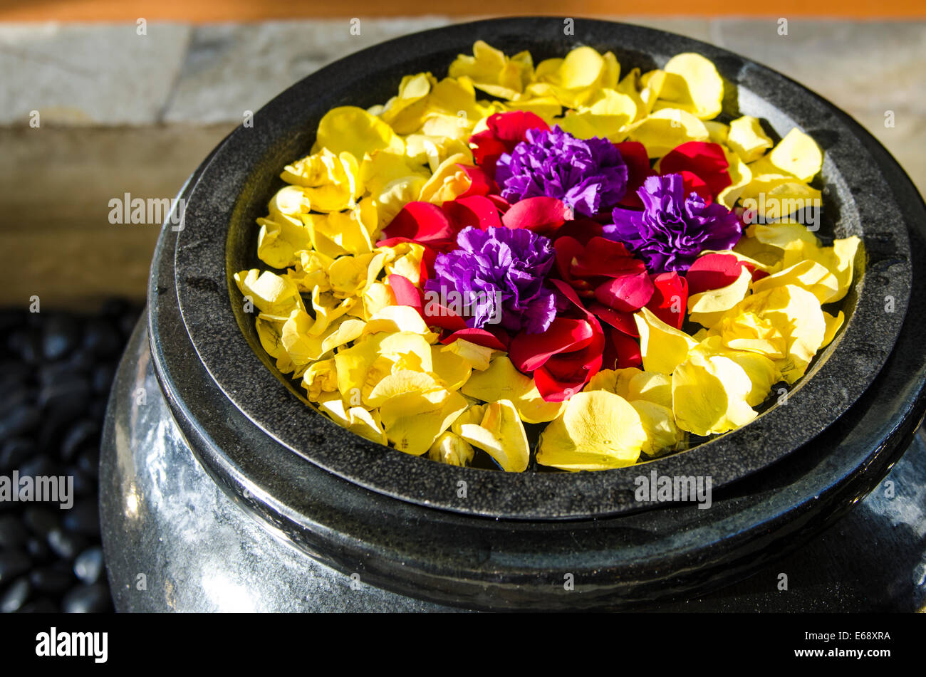 Display floreali nella lobby di Dusit Thani Hotel,Dubai Emirati Arabi Uniti EMIRATI ARABI UNITI. Foto Stock