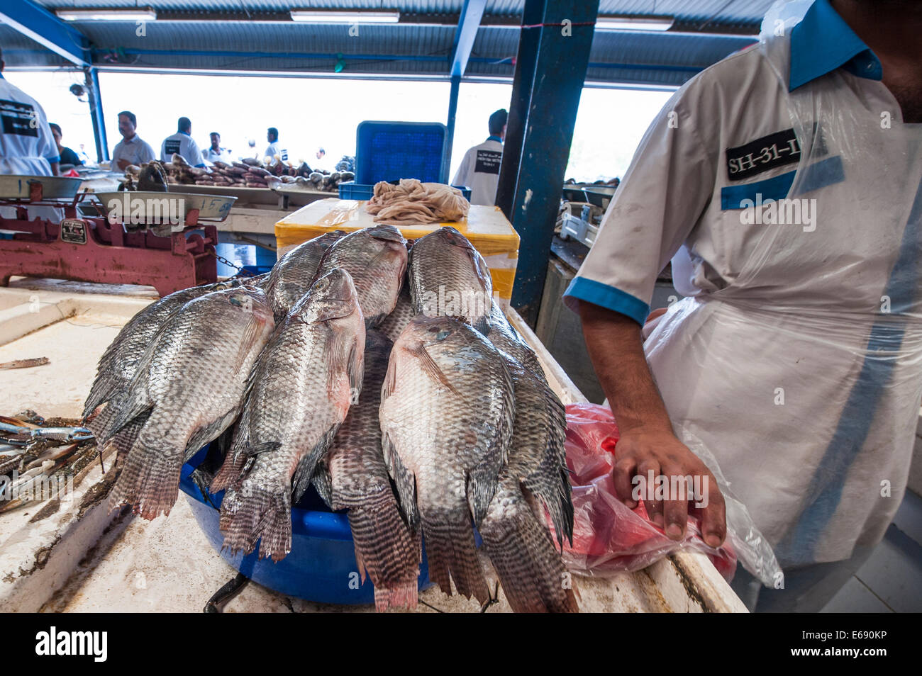 Pescatore con pesce in Deira mercato del pesce dal souk di Dubai, Emirati Arabi Uniti EMIRATI ARABI UNITI. Foto Stock