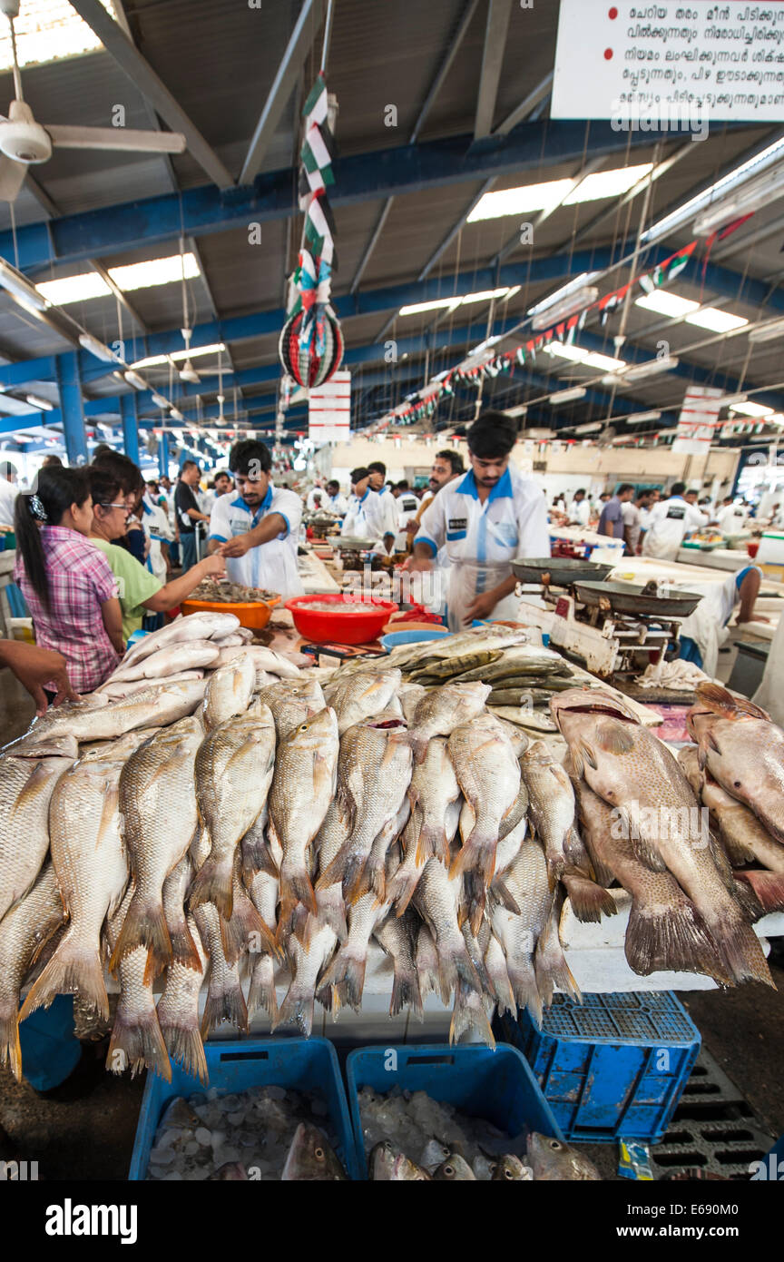 Pescatore con pesce in Deira mercato del pesce dal souk di Dubai, Emirati Arabi Uniti EMIRATI ARABI UNITI. Foto Stock