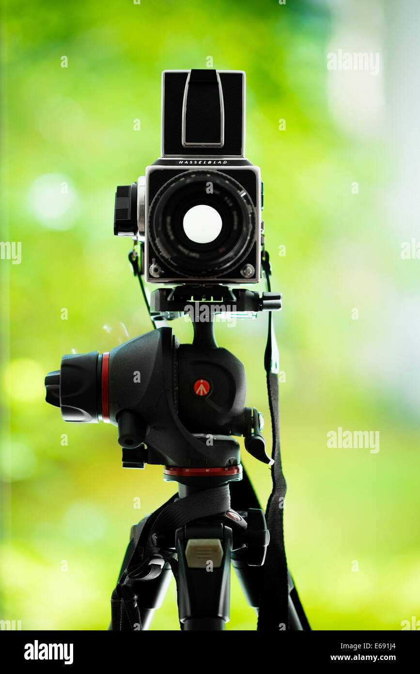 Hasselblad 5xx Serie fotocamera medio formato sul treppiede Manfrotto Foto Stock