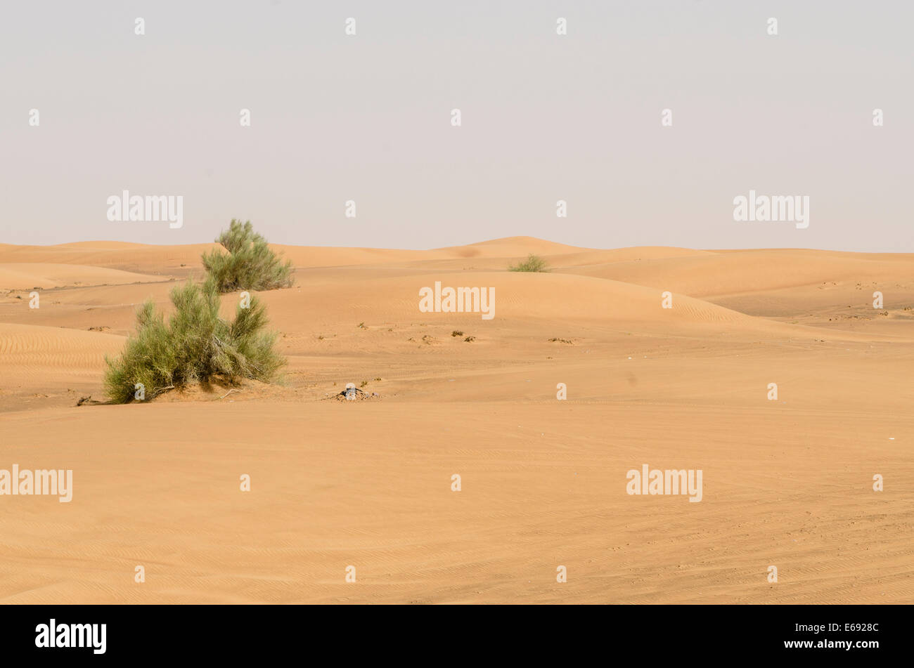 Il deserto al di fuori di Dubai, Emirati arabi uniti (EAU). Foto Stock