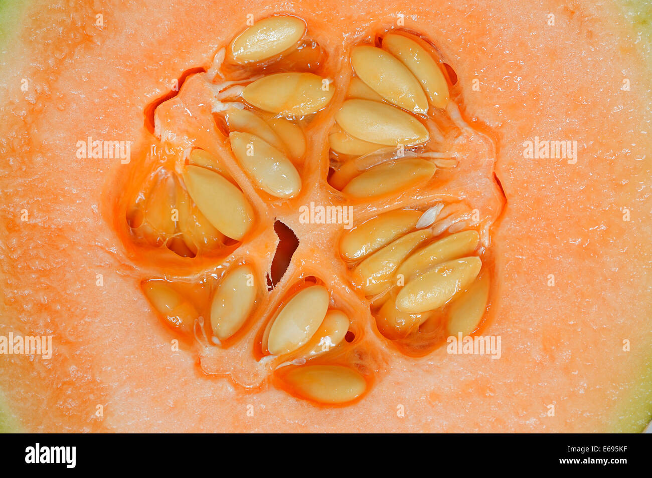 Melone o melone Honeydew (Cucumis melo), ha dimezzato la frutta con semi Foto Stock