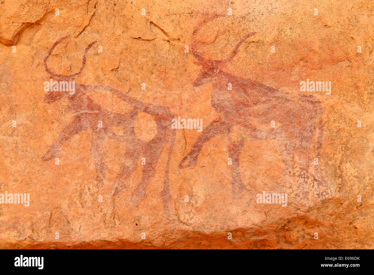 Il neolitico arte rock, rock pittura di due mucche o tori, Bovidian periodo, del Tassili n'Ajjer National Park Foto Stock