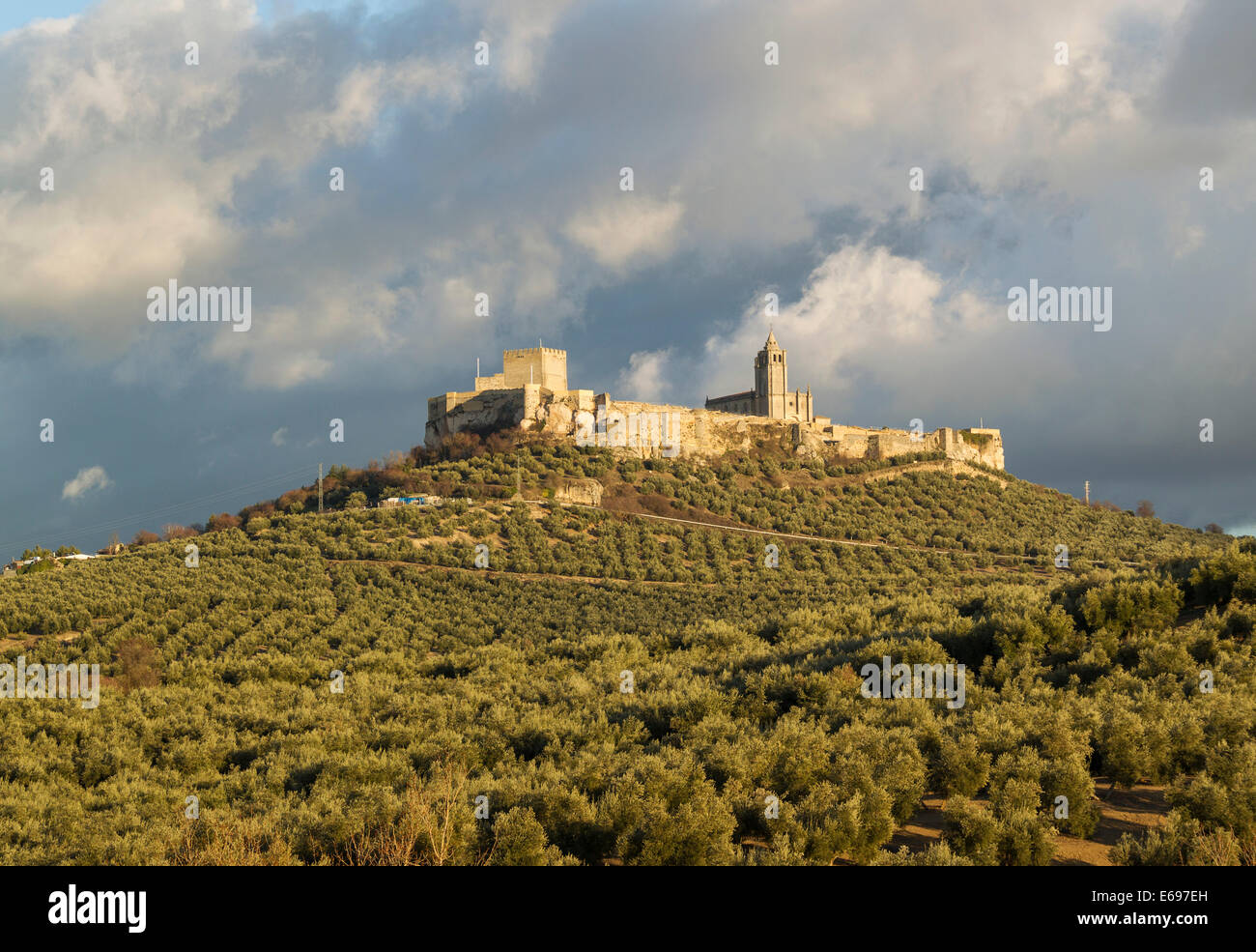 Il castello La Mota in Alcala la Real, circondata da oliveti, provincia di Jaén, Andalusia, Spagna Foto Stock
