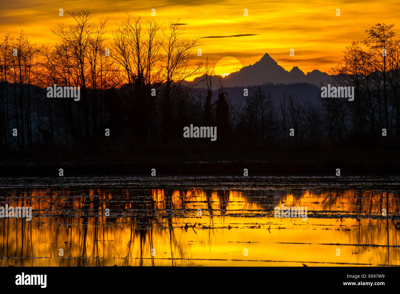 Sunset, allagato campo di riso di fronte al monte Viso, anche Monte Monviso, 3841m, Alpi Cozie, Lucedio (già abbazia benedettina), Vercelli Piemonte, Italia Foto Stock