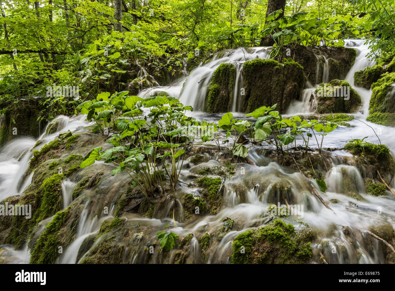 Cascate, laghi di Plitvice, Plitvicka Jezera, Lika-Senj Affitto, Croazia Foto Stock