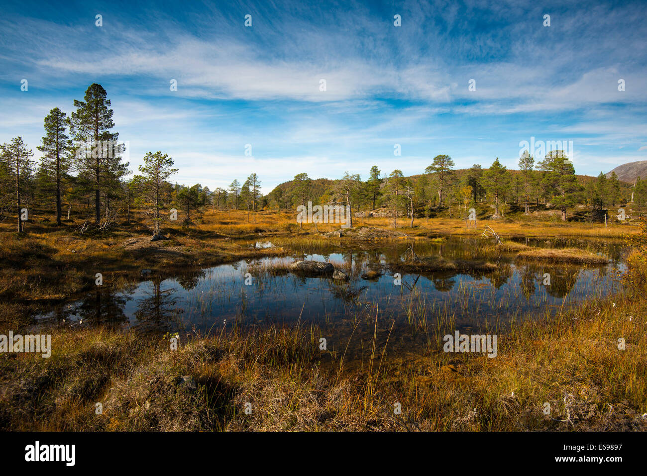 Il lago in Anderdalen National Park, Senja, Norvegia Foto Stock