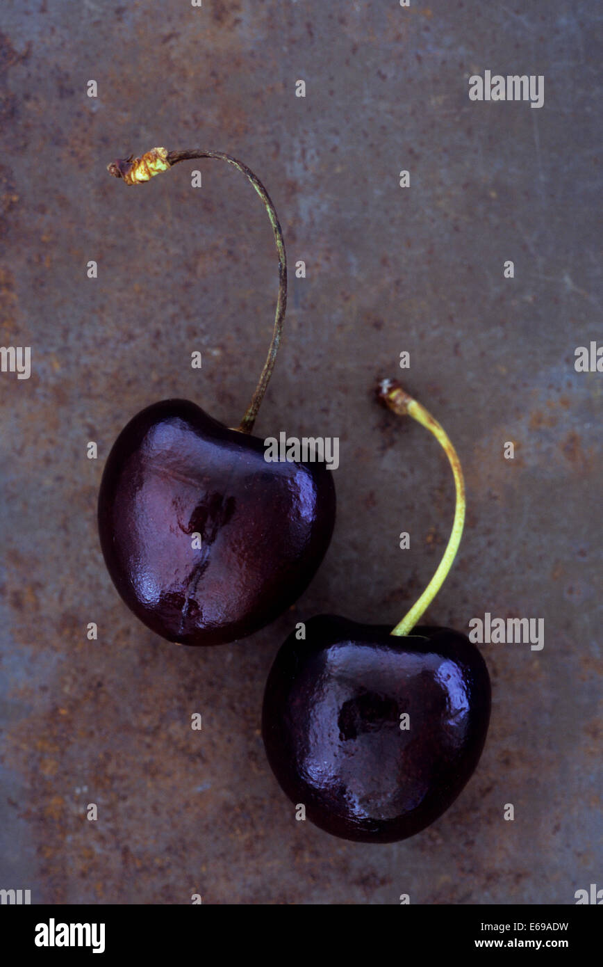 Due amarene o Prunus avium Kordia con lunghi gambi di curvatura giacente sul metallo arrugginito Foto Stock