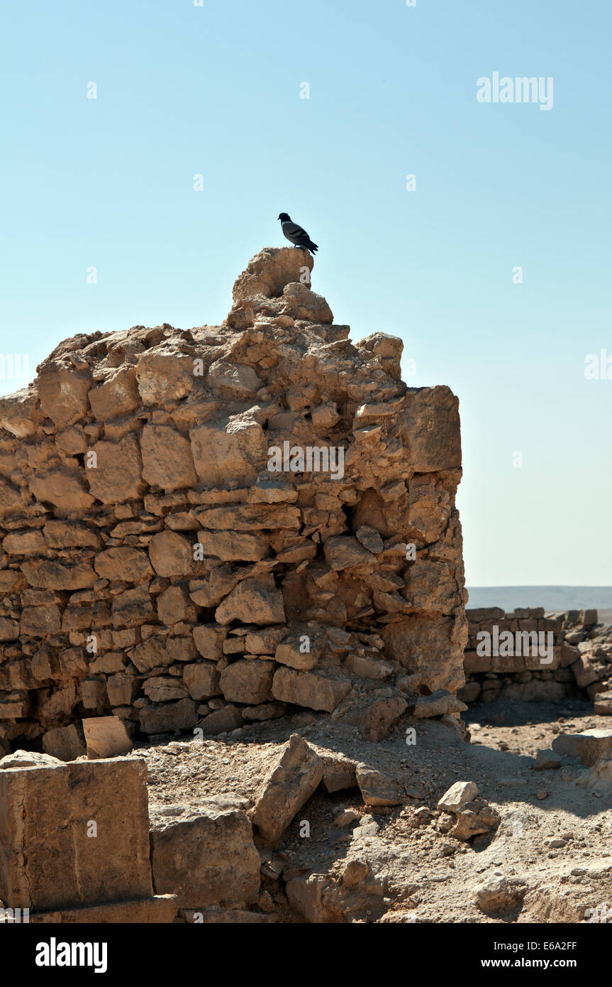 Shivta , resti di un Nabatean e città bizantina Foto Stock