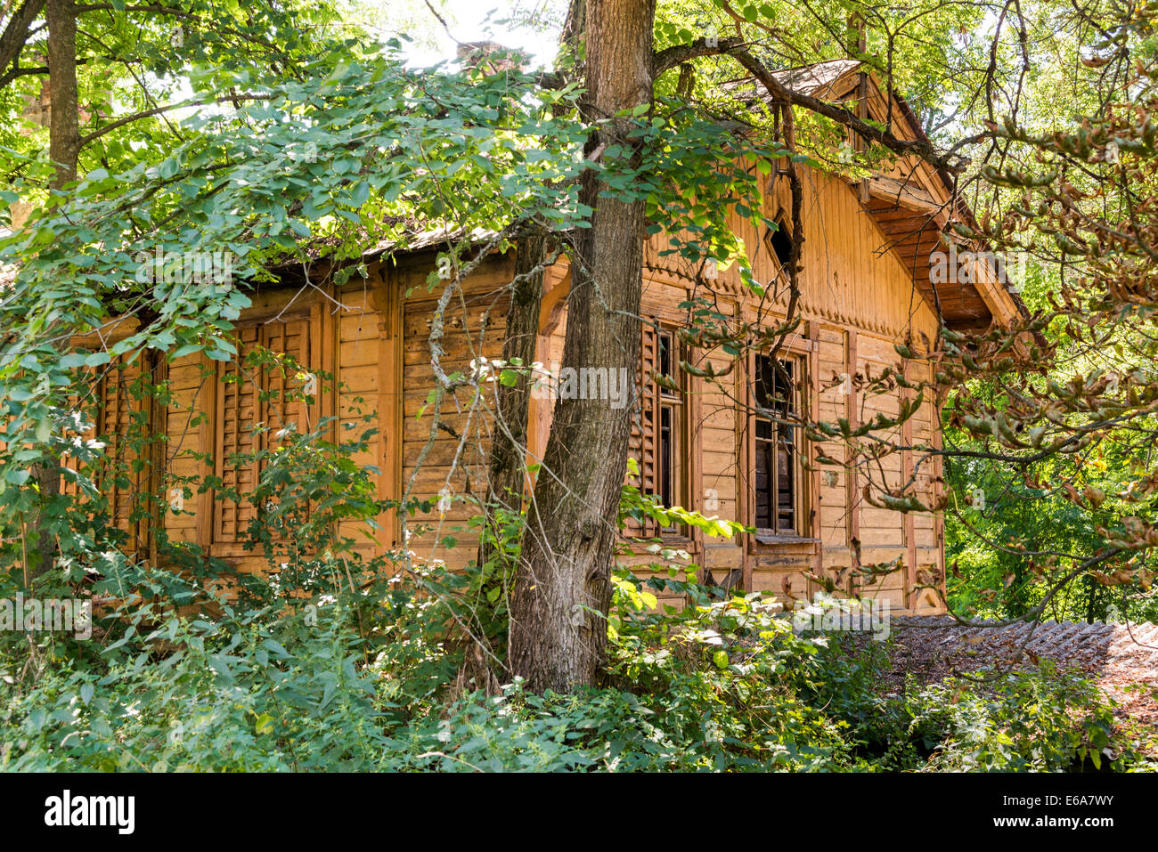 Cottage di legno nella foresta di ucraini abbandonati da persone Foto Stock