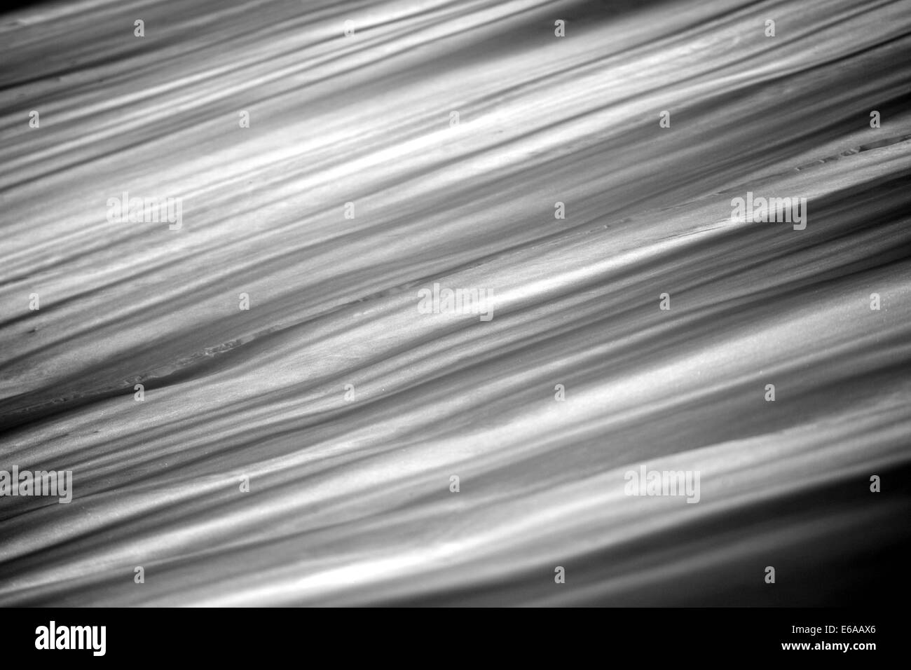 Ombra i rami degli alberi sulla neve. Foto Stock