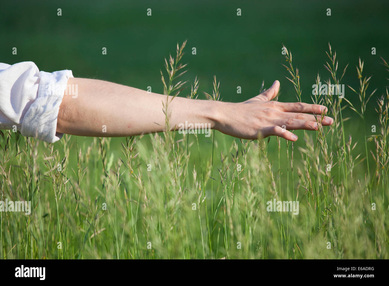 Divertimento,relax,l'erba,braccio Foto Stock