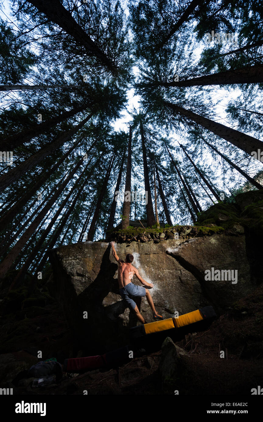 Bouldering in Magic Wood, Svizzera. Magic Wood è uno dei migliori bouldering destinazioni nel mondo. Foto Stock