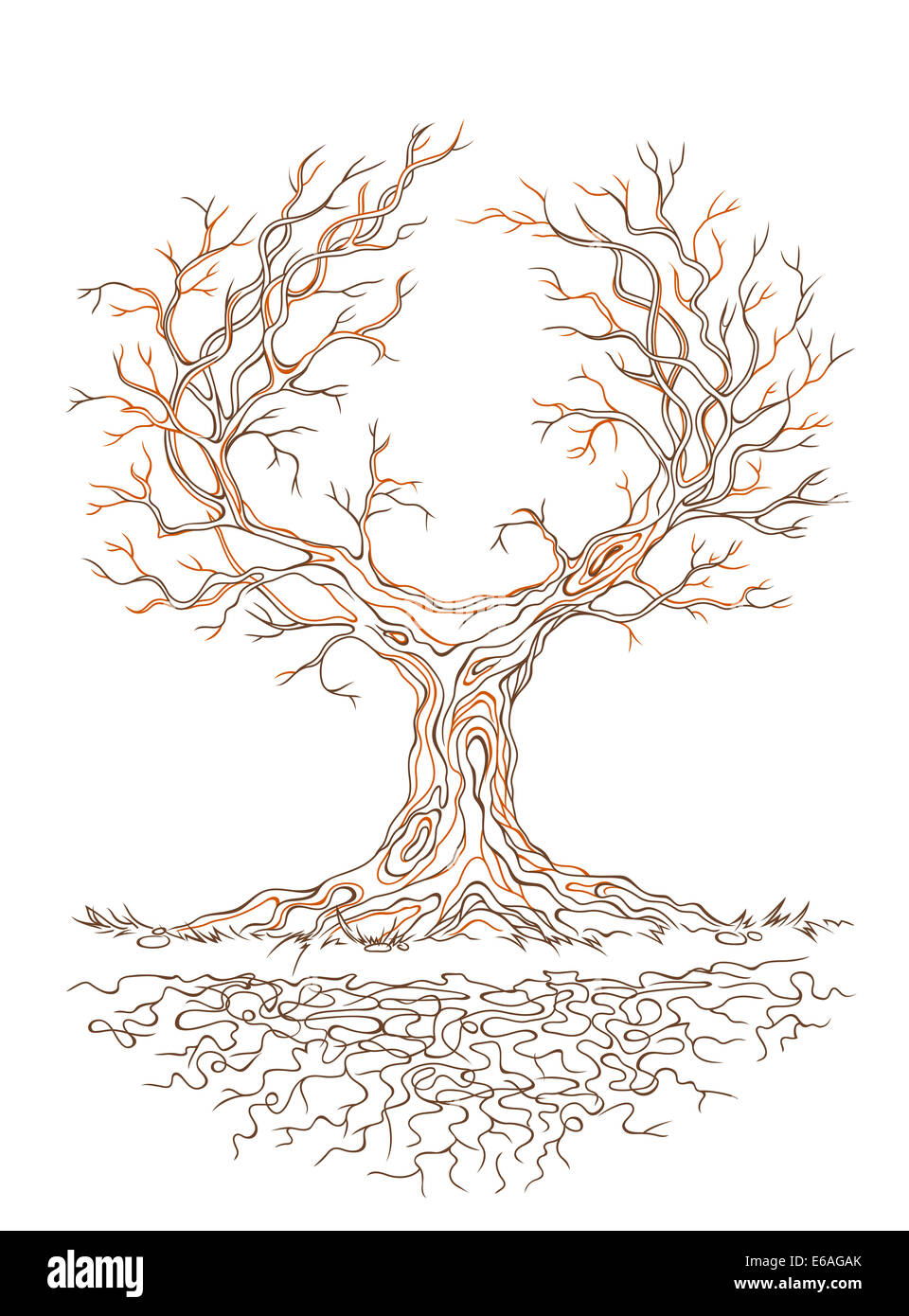 Grafico lineare antico e grande stantio branchy tree Foto Stock