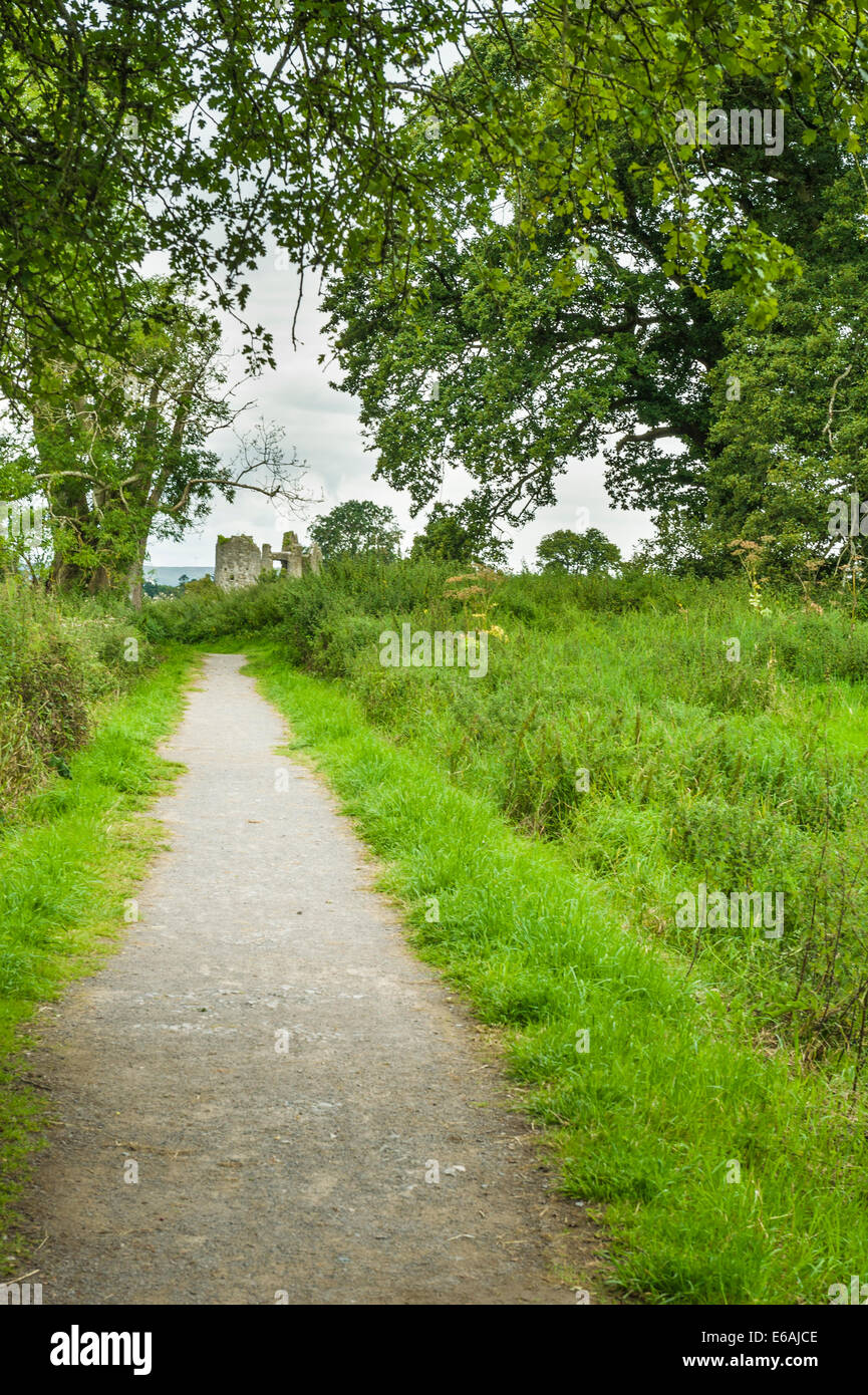 Crom Castello, Co Fermanagh, Irlanda del Nord Foto Stock