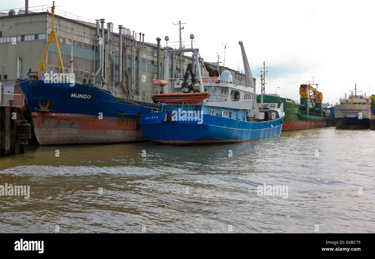 Costale Freighter e un pescatore della pesca a strascico in un cantiere navale su Nieuwe Maas River, Rotterdam South Holland, Paesi Bassi Foto Stock